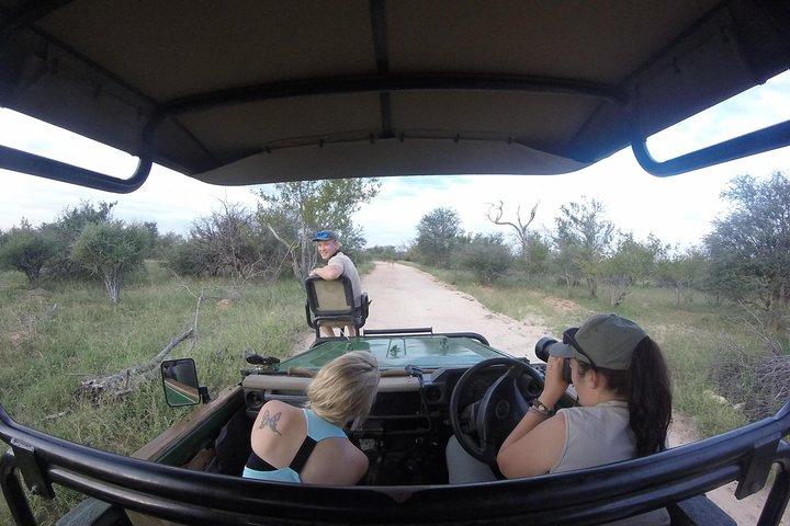 6 Day Classic Kruger National Park Safari from Johannesburg 