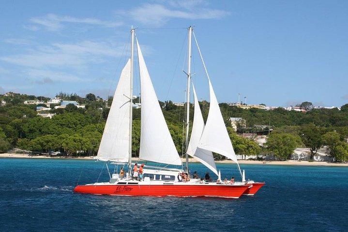 Barbados Catamaran Turtle and Shipwreck Snorkeling Cruise