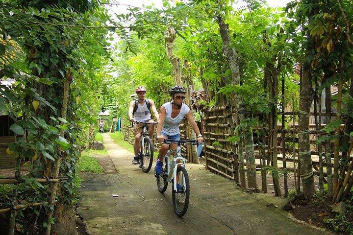 Bali Countryside Cycling Tours
