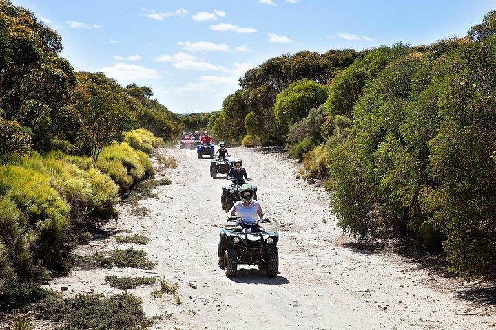 Kangaroo Island Quad Bike (ATV) Tours
