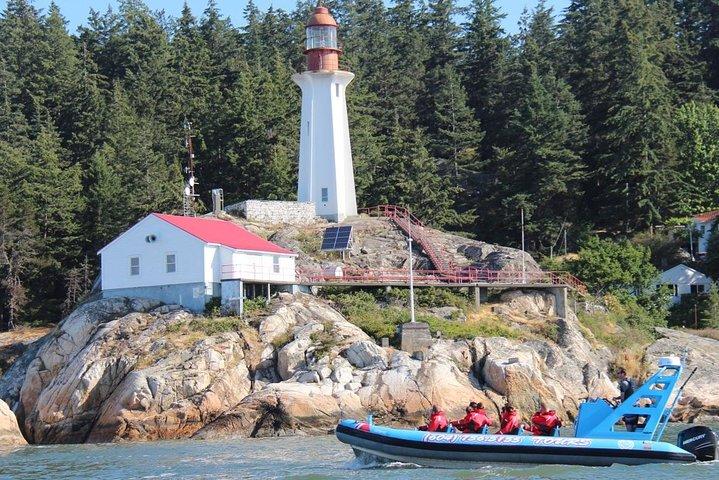 Vancouver City and Seals Scenic Boat Tour by Vancouver Water Adventures