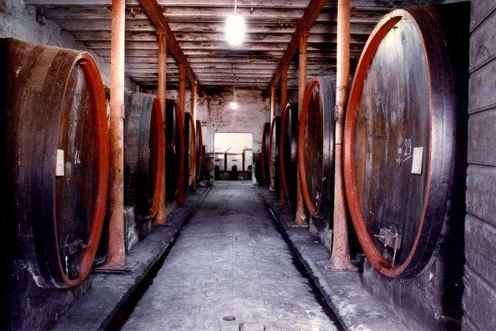 Montefalco: Historic cellar and vineyard tour with wine tasting