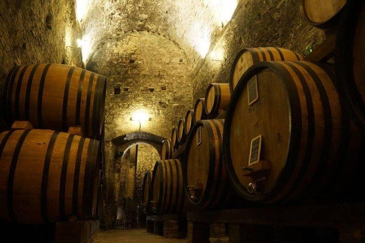 Tasting Tour in One of The Most Beautiful Cellars in the World