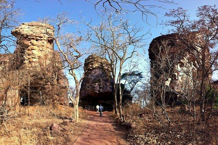 Full-Day Private Tour from Bhopal to Bhojpur and Bhimbetka