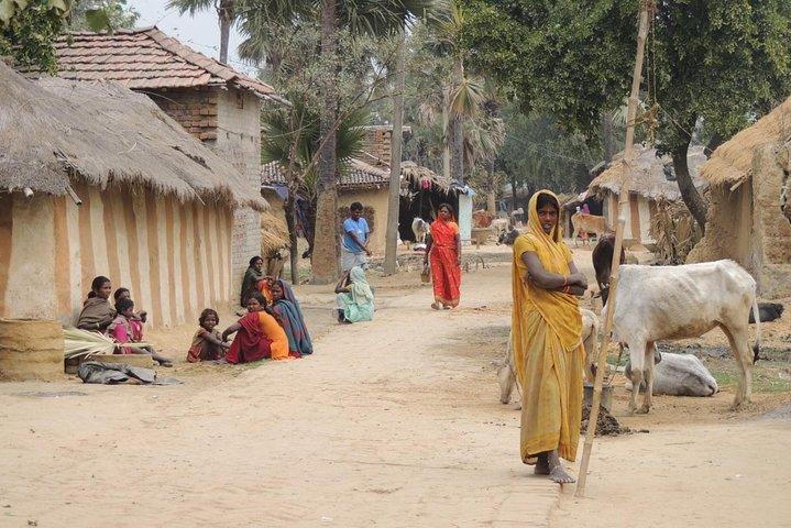 All Inclusive Tribal Village Walk with Visit to Taragram Project from Orchha