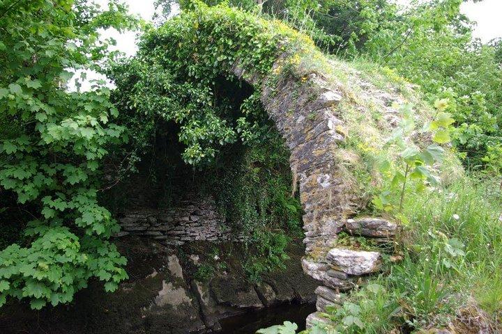 Private Tour:Ring of Kerry, Skellig Ring,Kerry Cliffs staring in (from) KENMARE