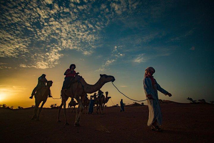 2-Day Zagora Tour from Marrakech Including the Atlas Mountains, Camel Trek and Desert Camp