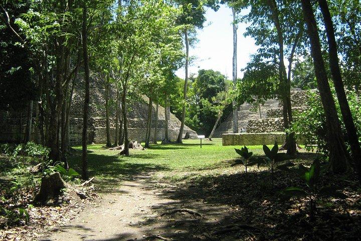 Full-Day Caracol Maya Temple and Pine Ridge Forest Reserve