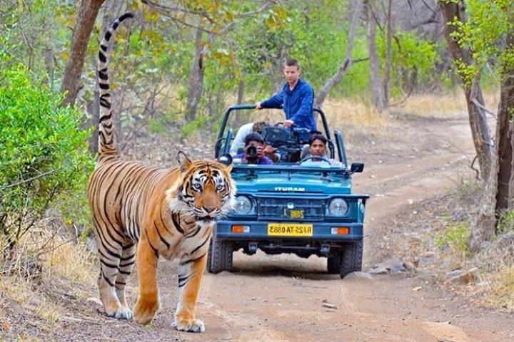 Private Transfer From Jaipur To Ranthambore