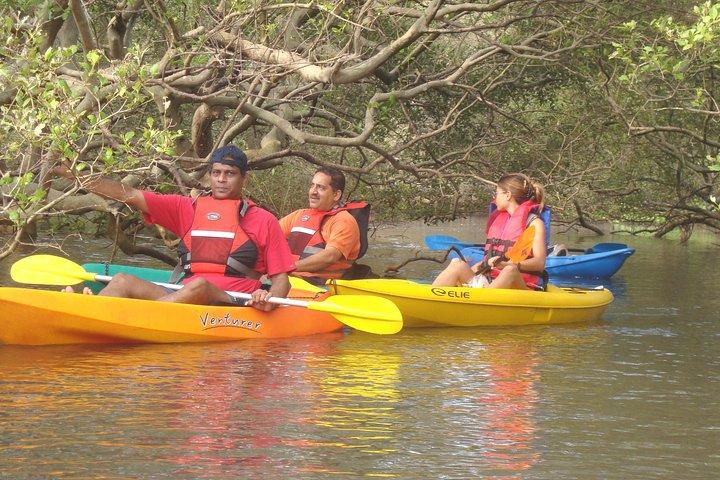 Mangroves Magic Goa Kayaking Experience