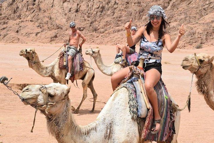 Sharm El Sheikh Desert Adventure (5X1)