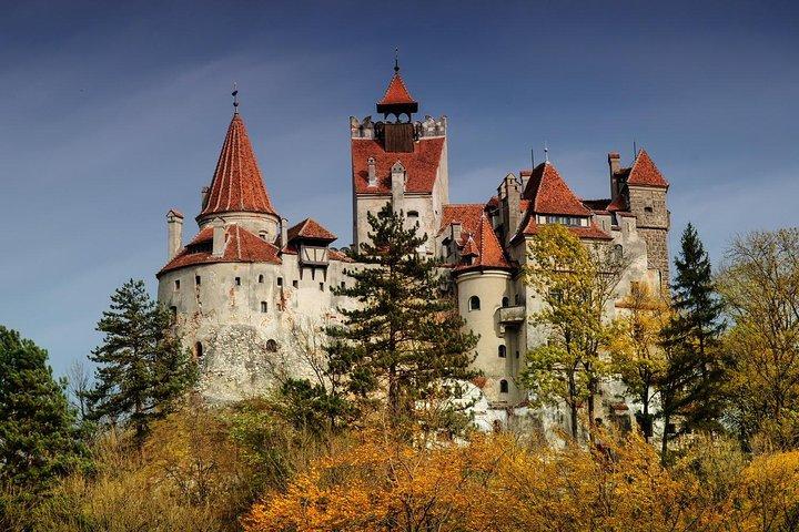 Bran (Dracula) Castle, Bear Sanctuary, Rasnov Fortress & Palinca Distillery