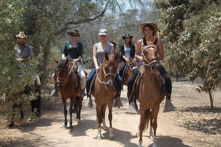 4-Hours Horse riding, Inca pyramids in world's largest dry forest