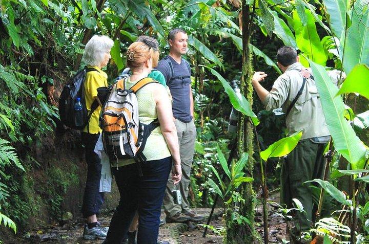Full Day to Selvatura Monteverde Cloud Forest from Guanacaste