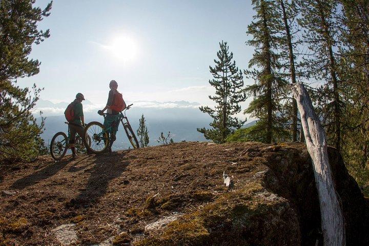 Whistler Half-Day Mountain Bike Tour