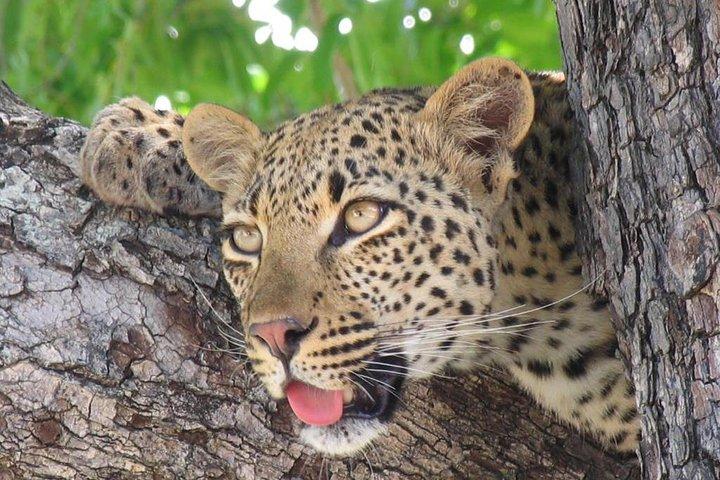 3 day Private Authentic Kruger Park Experience