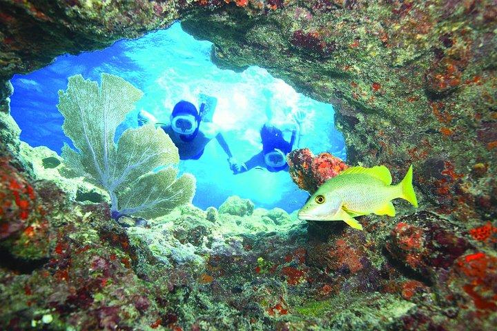 Key West Coral Reef Snorkel Adventure with Mimosas or Margaritas