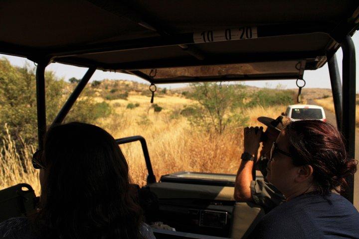 Full Day Pilanesberg Experience in Open Vehicle