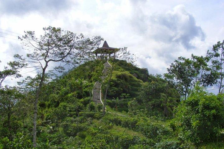 Half-day Private Menoreh Hill Trekking Tour from Borobudur