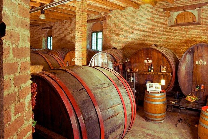 Wine Tour and Tasting at Le Marche's Oldest Wine Estate