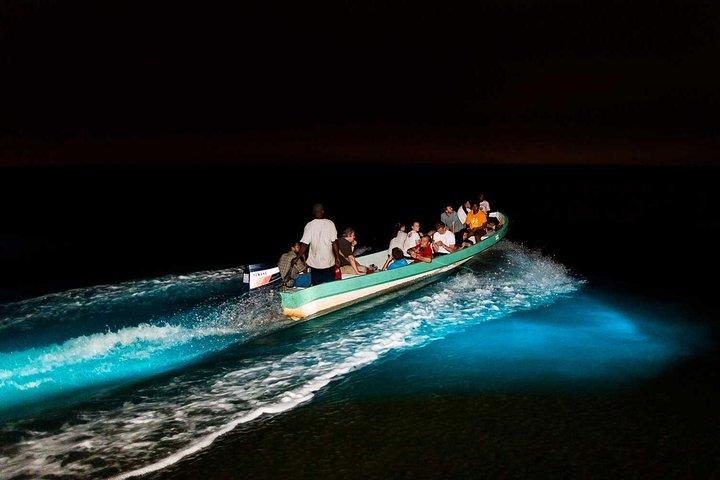 Bioluminescence Tour & Sunset River Cruise