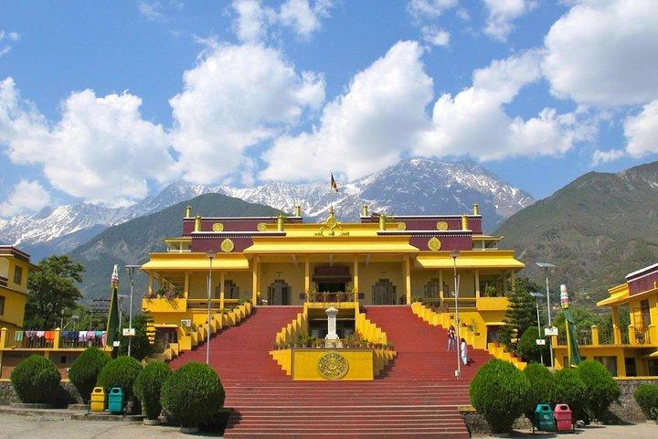 Day Tour of Dharamshala, home to the Dalai Lama with Lunch