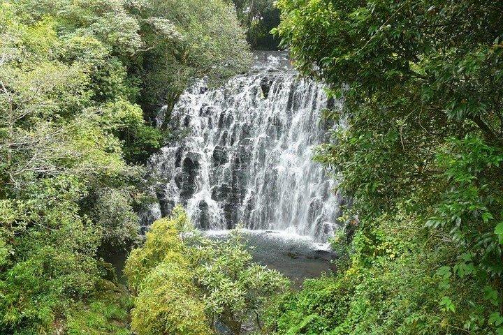 Explore Shillong From Guwahati With Breakfast & Lunch