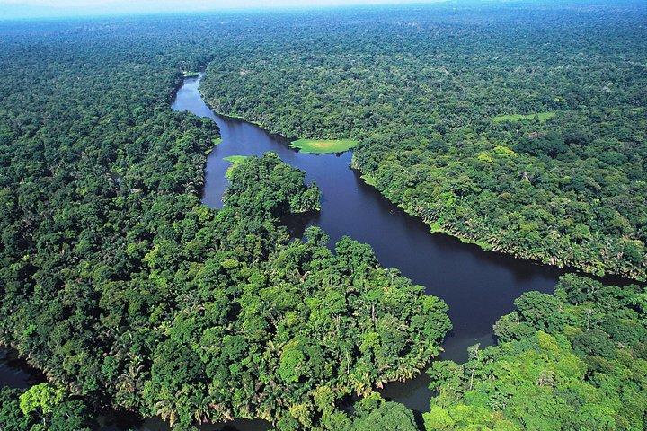 The Authentic Tortuguero National Park One Day Tour