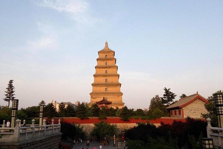 Half-Day Private Tour of Xian Museum and Big Wild Goose Pagoda