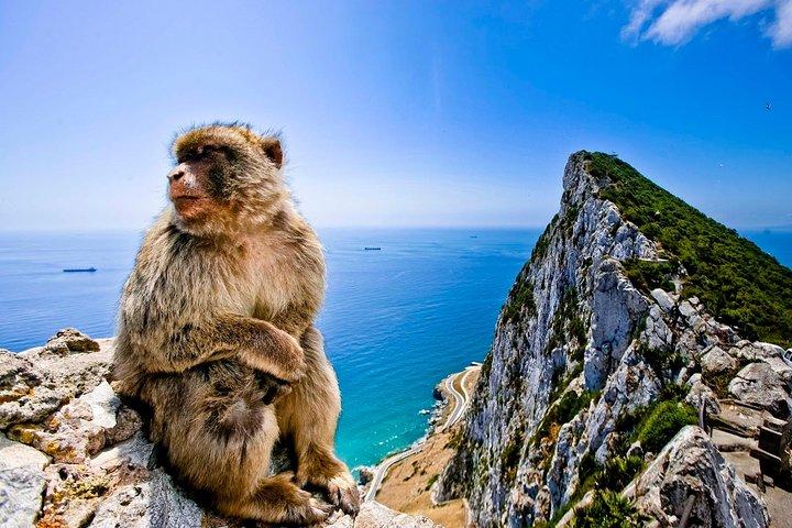 *Private Day Trip* Gibraltar & Bolonia from Cádiz