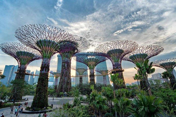 Private Singapore Night Tour with Gardens by the Bay,Trishaw Ride & River Cruise
