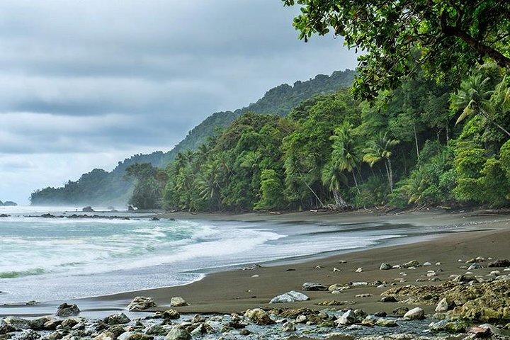 Corcovado National Park One Day Tour