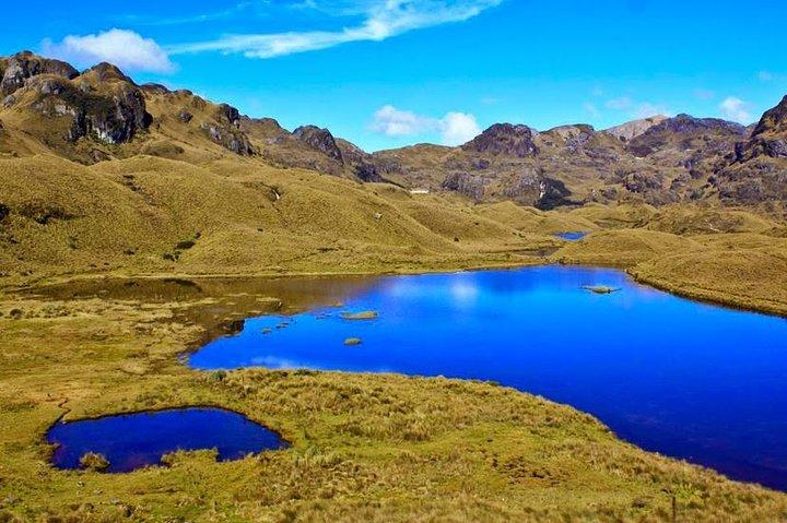 Private Cajas National Park and Cuenca City Tour