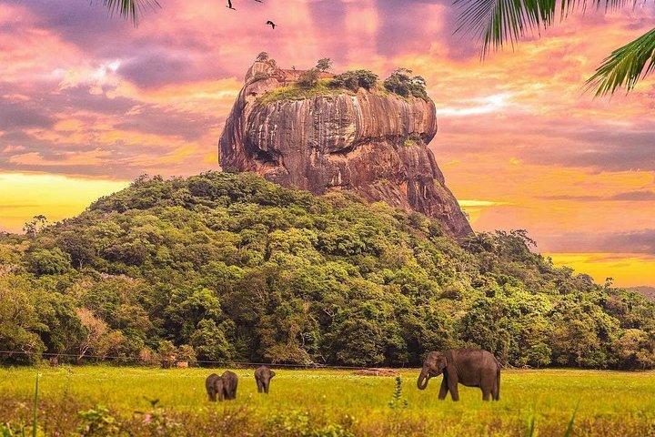  Kandy to Sigiriya Day Tour and Dambulla cave temple with private vehicle 