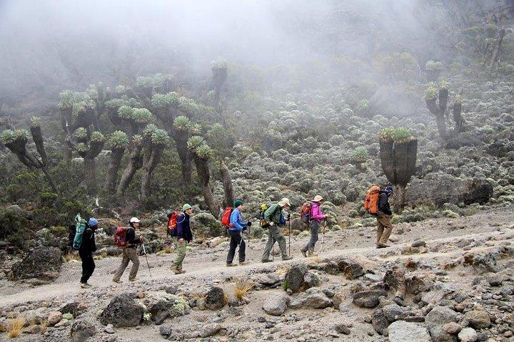 6 Days Kilimanjaro Trekking Via Marangu Route
