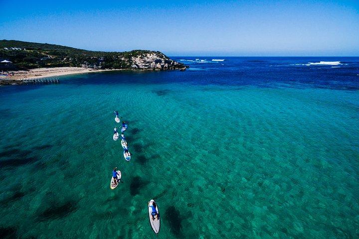 Stand Up Paddle Board Experience on Pristine Gnarabup Bay