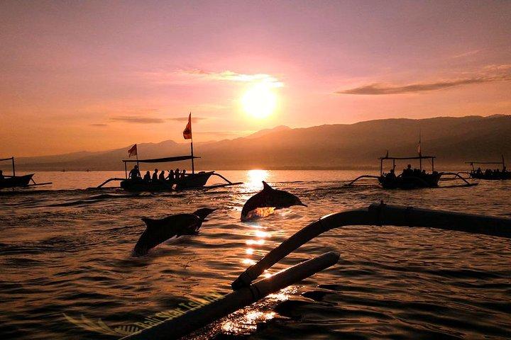 Dolphin Tour and Sunrise Watching in Lovina Beach - All Inclusive