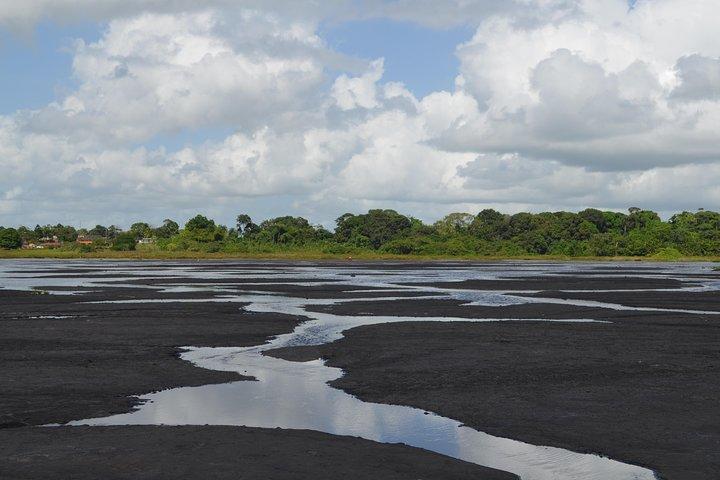 Trinidad Island Sightseeing Tour: Pitch Lake and Chaguanas