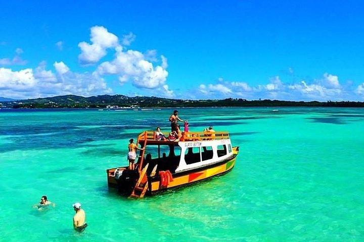 Tobago Buccoo Reef Glass Bottom Boat Cruise and Island Sightseeing Tour