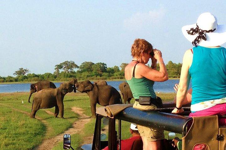 VALUE PACK! One Day Safari Tour to Yala and Udawalawe - Private & All Inclusive