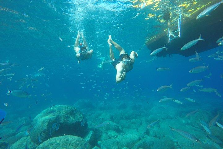 3h Boat Trip + Snorkeling in Puerto de Mogan