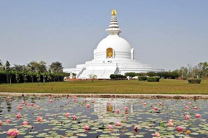 Day Trip To Nalanda And Rajgir From Bodhgaya