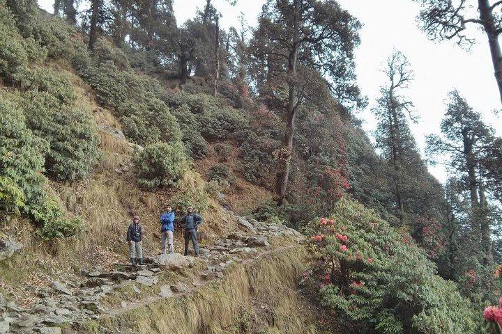 Nature Trek From Dharamshala