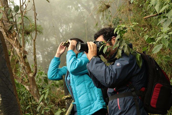 Day Trip to Chicaque National Park—from Bogota