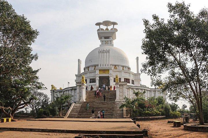 Om Leisure full-day tour of temple city Bhubaneswar in Odisha