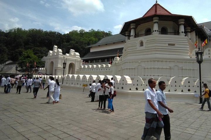 Private all inclusive Day trip Kandy & with your selected attractions