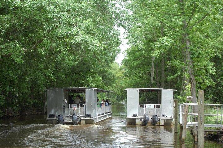 Jean Lafitte 90-Minute Swamp and Bayou Boat Tour