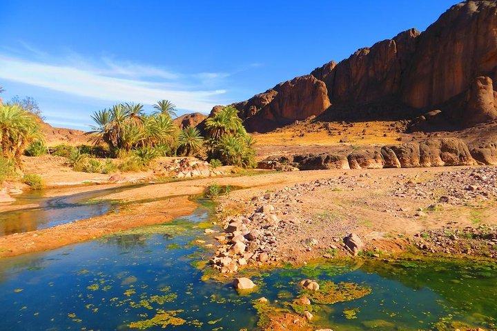 Private Full-Day Tour of Ouarzazate and Oasis Fint