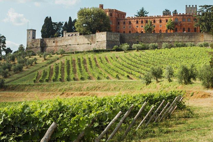 Small-Group Chianti Trip with Wine Tasting from Siena
