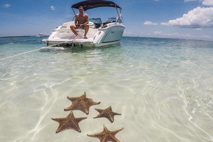 Private, luxury, custom charters to Stingray City, Snorkeling & More